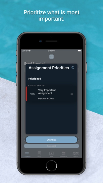 Assignment Notebook screenshot-3