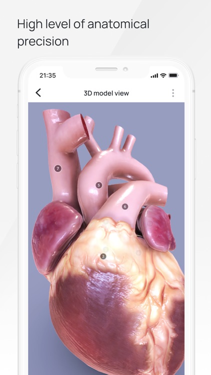 VOKA Pathology 3D