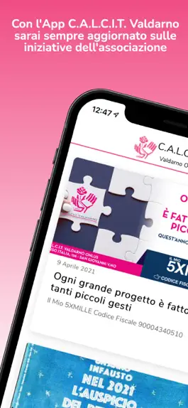 Game screenshot C.A.L.C.I.T. Valdarno mod apk
