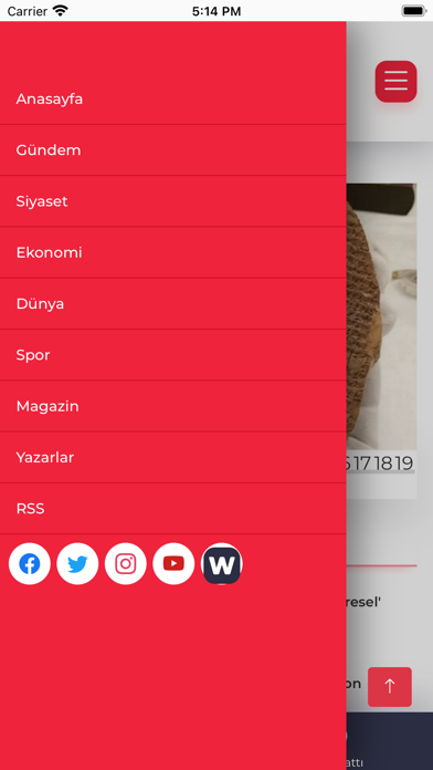 İGF Haber Ajansı (İGFA) Screenshot