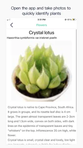 Game screenshot Photo Plant Identification apk