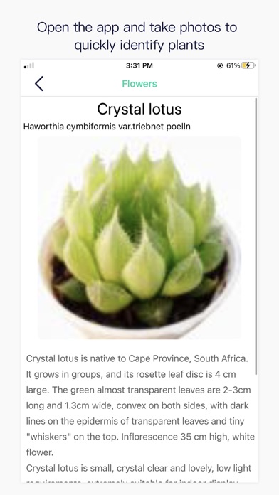 Photo Plant Identification Screenshot