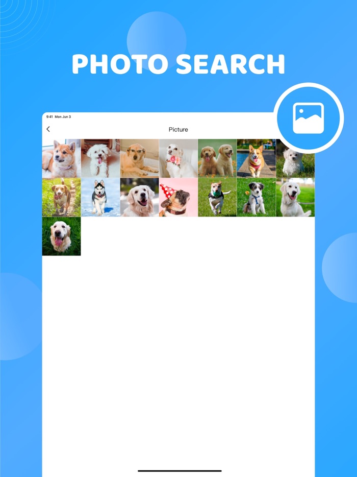 Reverse Image Search