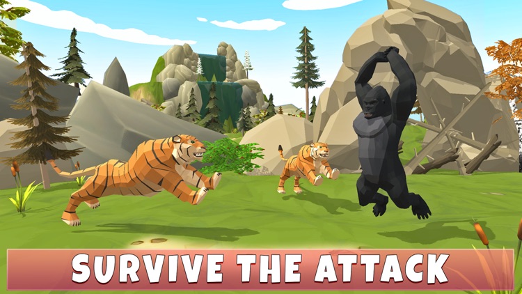 The Gorilla’s Family