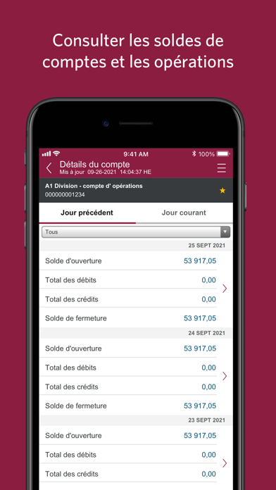 Screenshot #2 pour Mobile pour entreprises CIBC