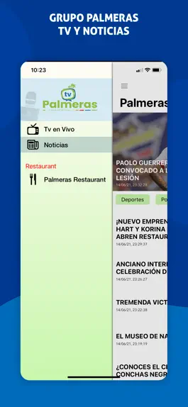 Game screenshot Grupo Palmeras TV mod apk