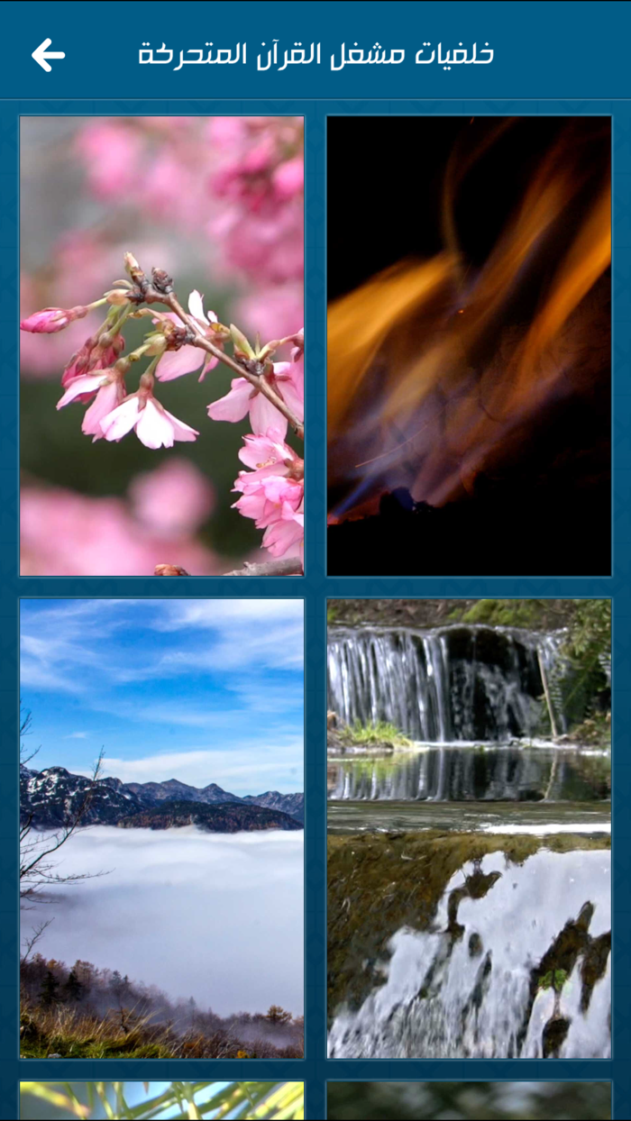 القرآن الكريم - المصحف المرتل