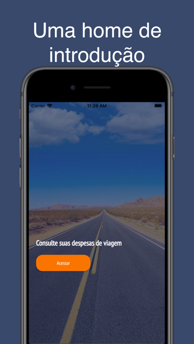 Despesas Viagem Screenshot