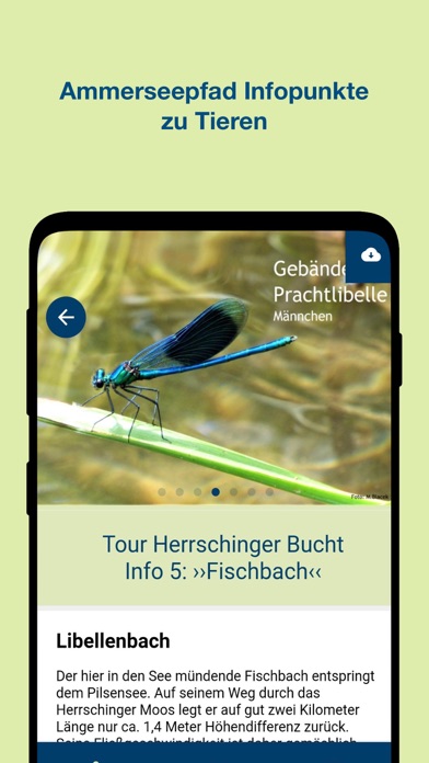 Region Ammersee Screenshot