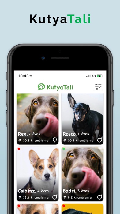 KutyaTali Screenshot