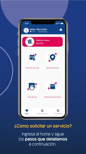 Loop Limpieza screenshot 2
