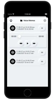 pro voice recorder iphone screenshot 4