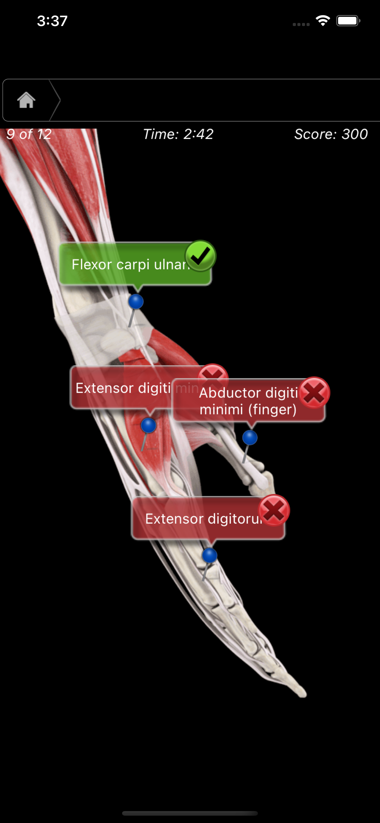 Muscle System Pro III - iPhone