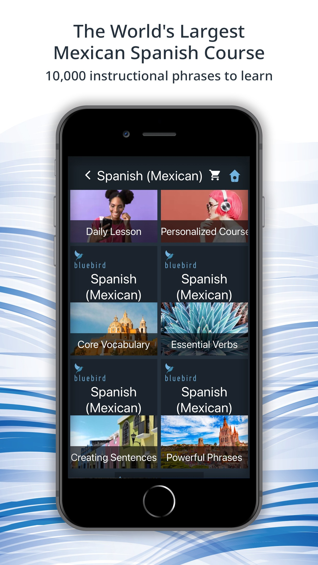 Bluebird: Mexican Spanish