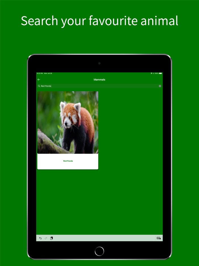 Virtual Jungle Safari