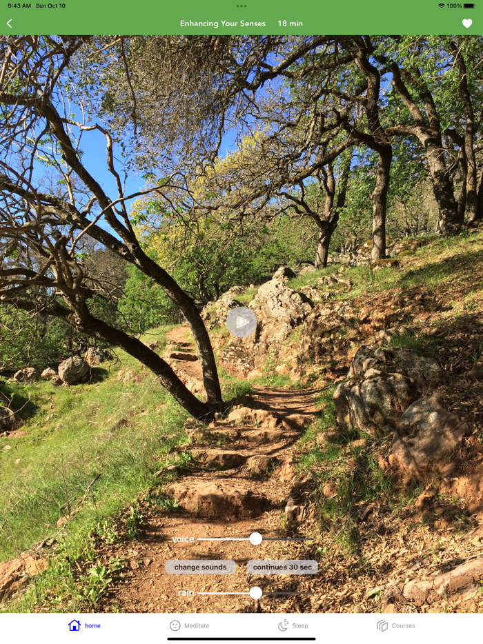 Meditation Oasis Simply Being