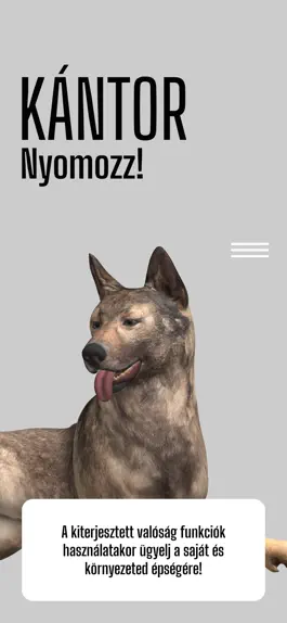 Game screenshot Kántor nyomozz! mod apk