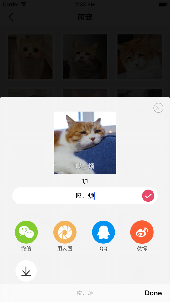 表情制作器 - 表情包制作
