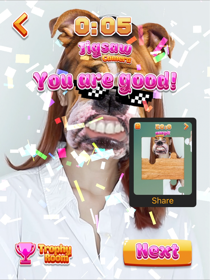 Jigsaw Camera Puzzles