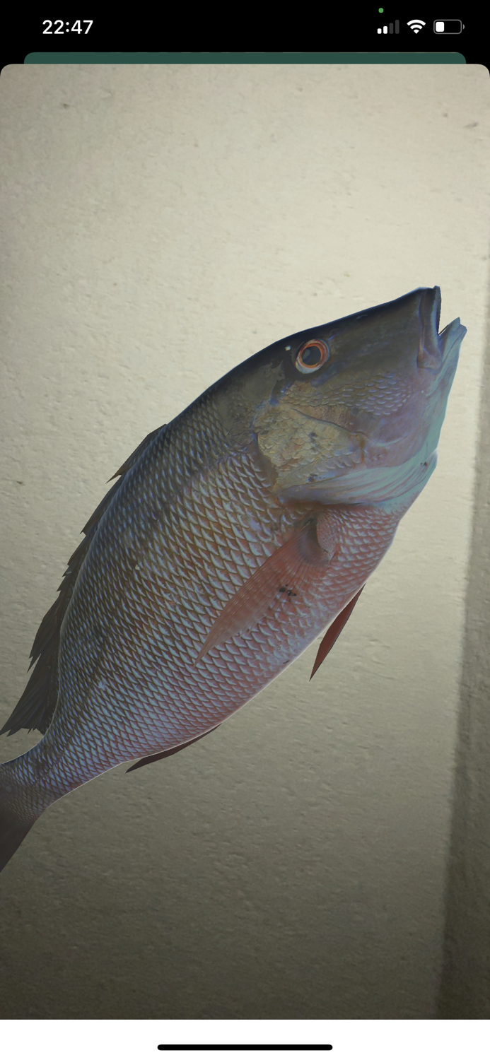 Panorama Agroalimentario 2020