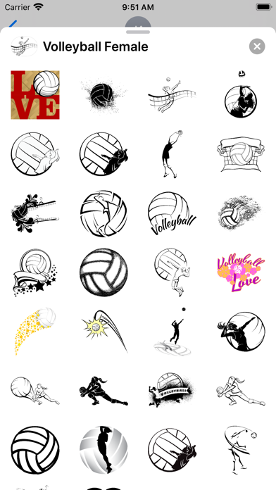 Volleyball Female Megapack Screenshot