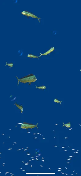 Game screenshot Tropical fish oasis hack
