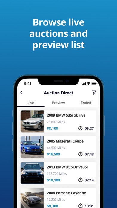 Auction Direct Screenshot