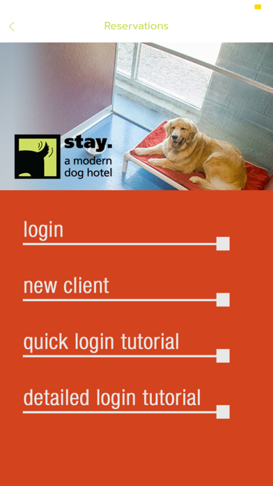 stay. a modern dog hotel Screenshot