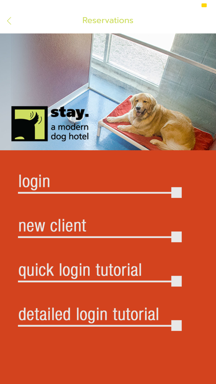 stay. a modern dog hotel