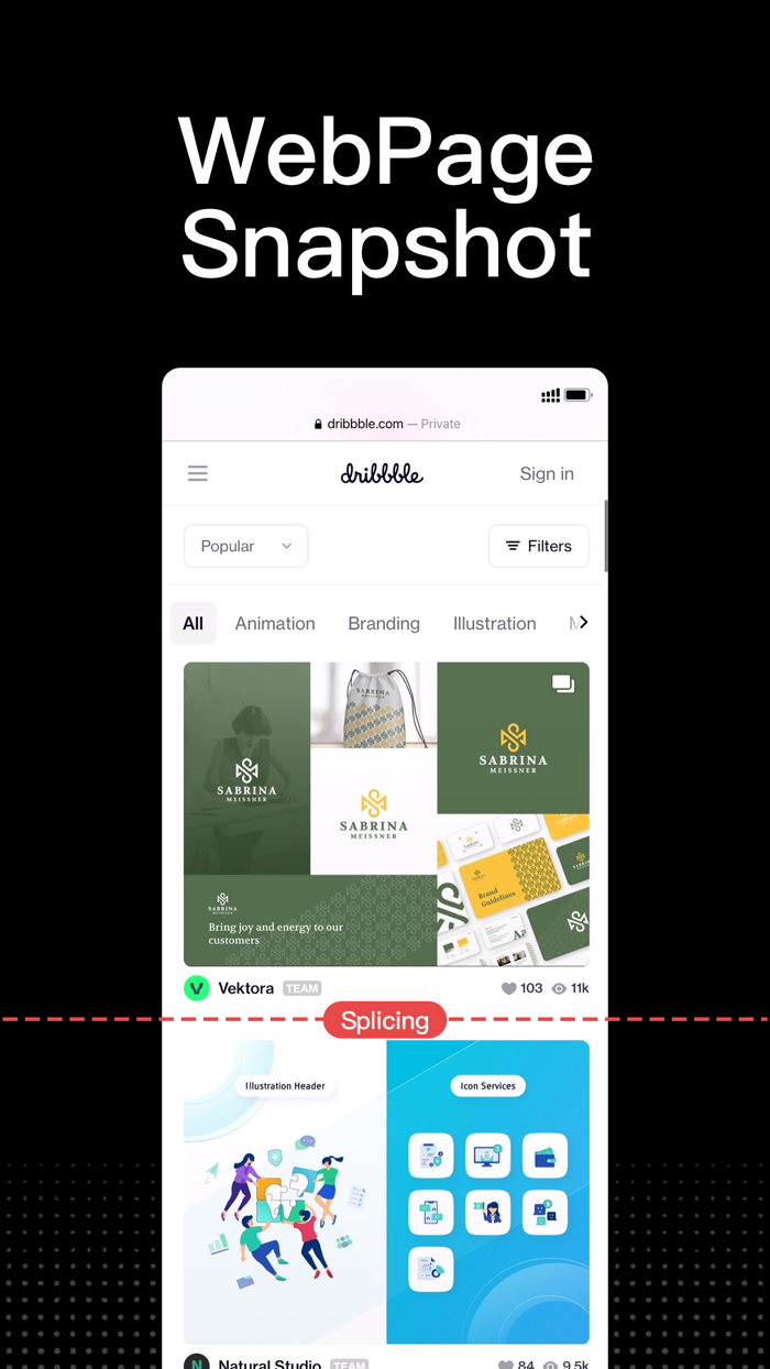 Tailor - Screenshot Stitch