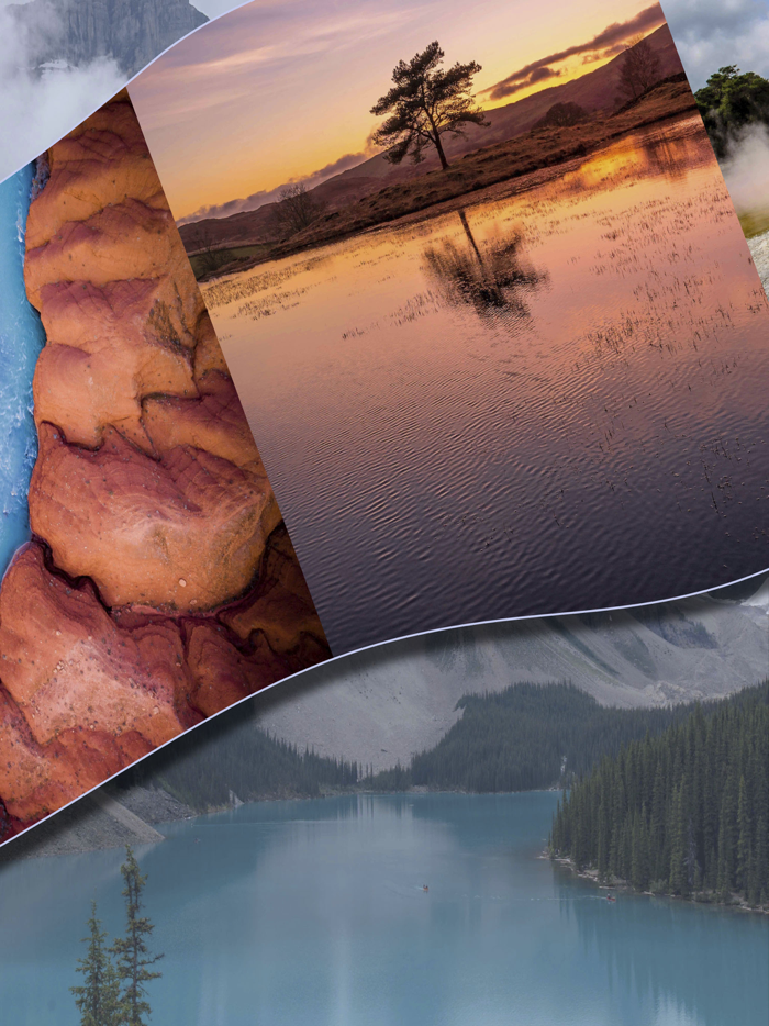 Wordsify Search Nature Images