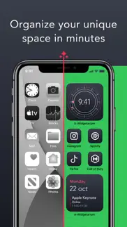 widgetarium: icons & widget iphone screenshot 2