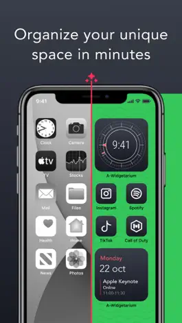 Game screenshot Widgetarium: Icons & Widget apk