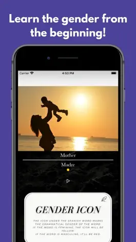 Game screenshot Spanish FlashVo apk