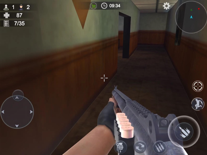 Secret Mission Battle Shooting