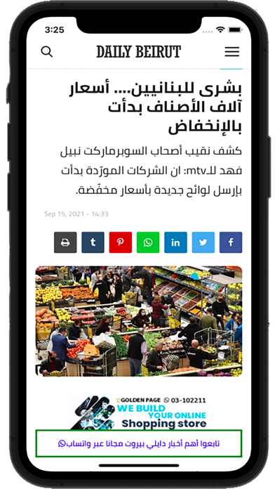 Daily Beirut Screenshot