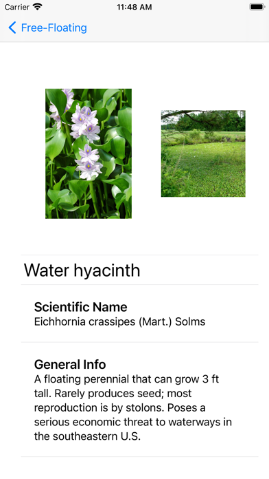 Aquatic Plants Screenshot