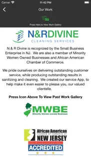 n&r divine cleaning problems & solutions and troubleshooting guide - 1