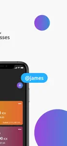 Wallet X for ICON screenshot #2 for iPhone