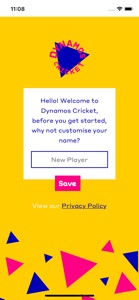 Dynamos Cricket screenshot #1 for iPhone