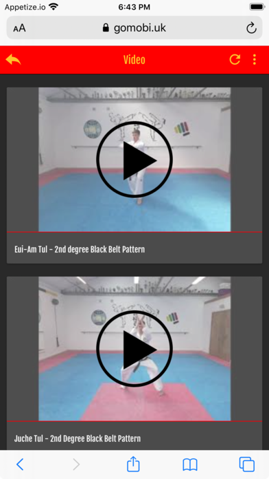 SQ Tae Kwon-do Screenshot