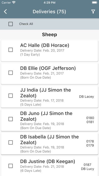 Birthing Planner Screenshot