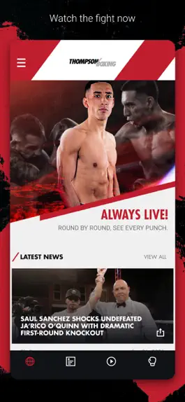 Game screenshot Thompson Boxing App mod apk