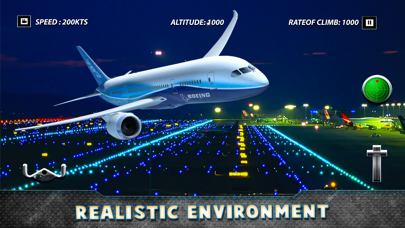Real Airplane Simulator Screenshot