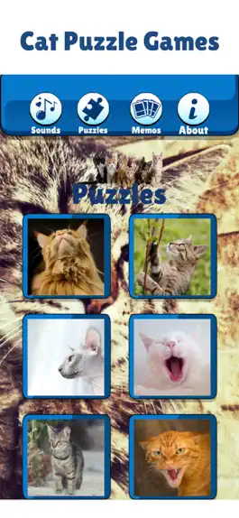 Game screenshot Kitty Cat: Fun Meow Noise Game hack
