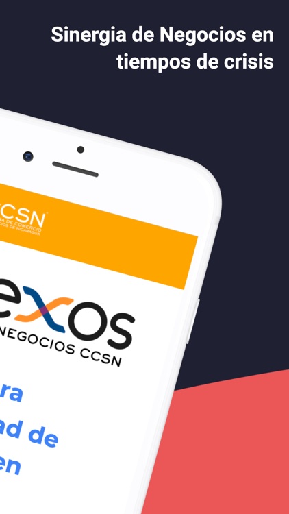 Nexos CCSN