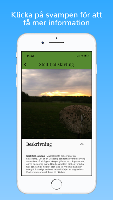 fungai - svampguide med AI Screenshot