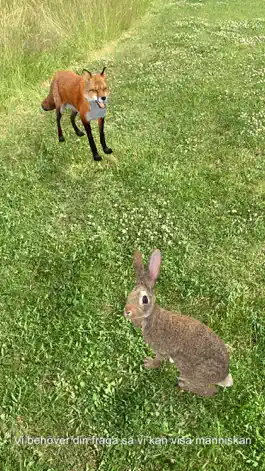 Game screenshot Mysteriet i parken hack
