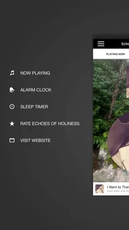 Game screenshot Echoes Of Holiness hack