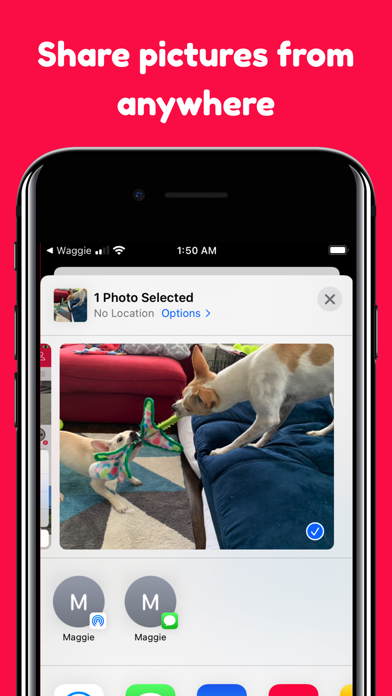Waggie - Pet Social Network Screenshot